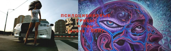 герыч Арсеньев