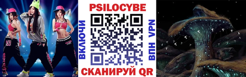 Псилоцибиновые грибы мицелий  Купить  Фрязино 